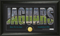 Jacksonville Jaguars Silhouette Bronze Coin Panoramic Photo Mint