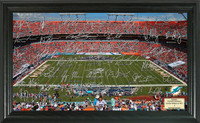 Miami Dolphins Signature Gridiron Collection