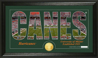 University of Miami Silhouette Bronze Coin Panoramic Photo Mint