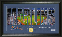 Miami Marlins Silhouette Bronze Coin Panoramic Photo Mint