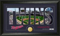 Minnesota Twins Silhouette Bronze Coin Panoramic Photo Mint