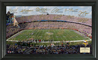 Minnesota Vikings Signature Gridiron Collection