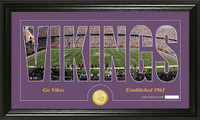 Minnesota Vikings Silhouette Bronze Coin Panoramic Photo Mint