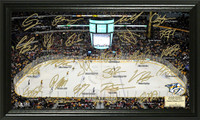 Nashville Predators Signature Rink
