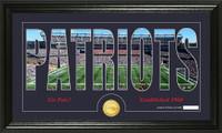 New England Patriots Silhouette Bronze Coin Panoramic Photo Mint