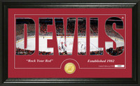 New Jersey Devils Silhouette Bronze Coin Panoramic Photo Mint