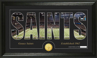 New Orleans Saints Silhouette Bronze Coin Panoramic Photo Mint