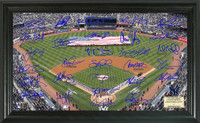 New York Yankees Signature Field