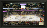Ottawa Senators Signature Rink