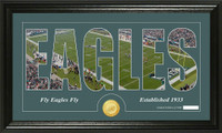 Philadelphia Eagles Silhouette Bronze Coin Panoramic Photo Mint