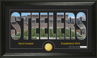 Pittsburgh Steelers Silhouette Bronze Coin Panoramic Photo Mint