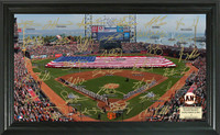 San Francisco Giants Signature Field