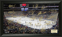 St. Louis Blues Signature Rink
