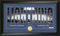 Tampa Bay Lightning Silhouette Bronze Coin Panoramic Photo Mint