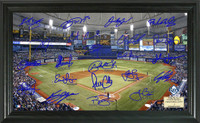 Tampa Bay Rays Signature Field