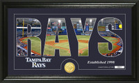 Tampa Bay Rays Silhouette Bronze Coin Panoramic Photo Mint