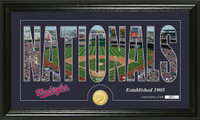 Washington Nationals Silhouette Bronze Coin Panoramic Photo Mint