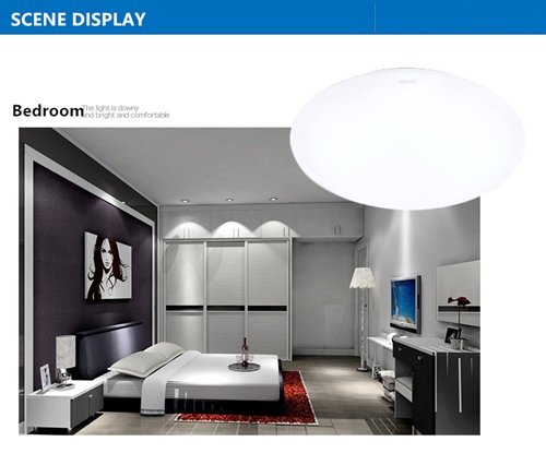 PHILIPS Lighting LED ceiling lights modern minimalist living room lamp bedroom lamp den balcony aisle lights:Horizon-lights
