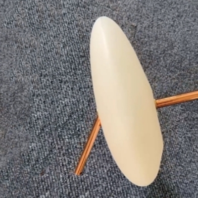 2025021001.jpg