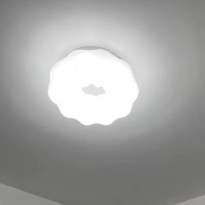 20250212150954.jpg