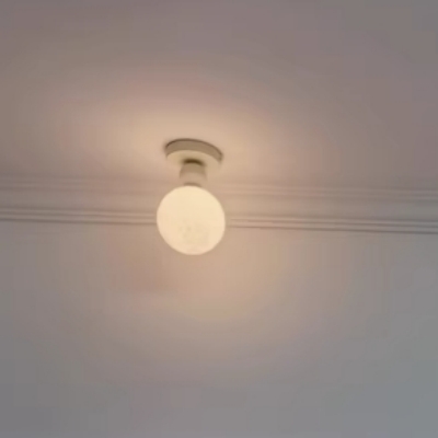 20250317141900.jpg 20250317141900.jpg