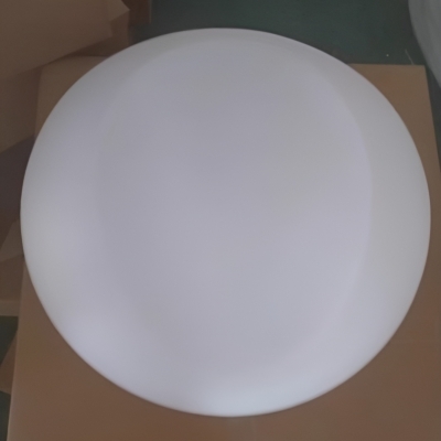 2025121101.jpg 2025121101.jpg