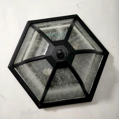 5070231.jpg