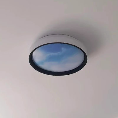 7976463543545.jpg