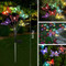 Image 6 Image 6