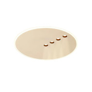 KONOS Dimmable Acrylic Ceiling Light for Living Room, Bedroom & Study - Modern Style  