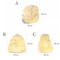 Image 5 Image 5