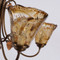Image 5 Image 5
