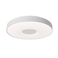 ESEK Acrylic Ceiling Light for Bedroom - Modern Style