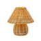 Image 1 Image 1