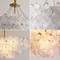 Image 5 Image 5