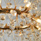 Image 4 Image 4