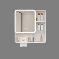 LUKE Aluminum Coated Glass Mirror Cabinet Light for Bathroom & Bedroom - Modern Style