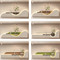Image 4 Image 4