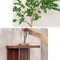 Image 5 Image 5