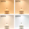 Image 4 Image 4