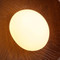 Image 4 Image 4