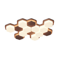 WILEY Dimmable Iron Ceiling Light for Study, Bedroom & Living Room - Retro Style