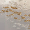 Image 2 Image 2