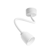 RILEY Aluminum Spot Light for Living Room, Corridor & Study - Modern Style