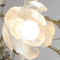 Image 4 Image 4