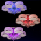 Image 2 Image 2