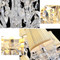 Image 4 Image 4