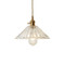 DAHLIA Copper LED Pendant Light for Study, Living Room & Dining - Nordic Style
