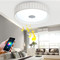 Modern LED Ceiling Lights Acrylic Shade Metal Frame Bluetooth App Mobile Control Living Room from Singapore best online lighting shop horizon lights