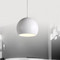 Nordic Aluminium LED Pendant Light Round Modern Fashion